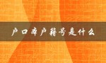 户口本户籍号是什么（户口本公证是啥）