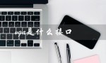 vga是什么接口（电脑vga接口是什么）
