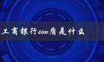 工商银行sim盾是什么（工商银行U盾是什么）