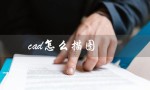 cad怎么描图（CAD如何描绘线条）