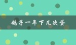 鸽子一年下几次蛋（白羽王鸽子几次下蛋）