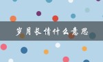 岁月长情什么意思（岁月长情是什么意思）