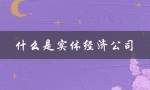 什么是实体经济公司（新实体经济是什么）