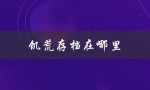 饥荒存档在哪里（饥荒存档怎么打开）