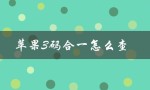 苹果3码合一怎么查（苹果四码合一如何查）