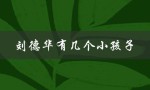刘德华有几个小孩子（刘德华几个宝宝）