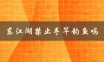 东江湖是否禁止手竿钓鱼？