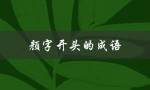 颜字开头的成语（颜字开头的成语接龙）