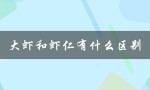 大虾和虾仁有什么区别（虾仁与虾有何不同）