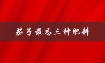 茄子最忌三种肥料（茄子最好施什么肥）
