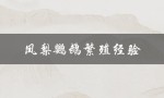 凤梨鹦鹉繁殖经验（凯克鹦鹉如何繁殖）