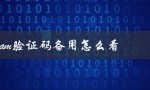 steam验证码备用怎么看（如何查看steam特殊验证码）