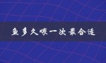 鱼多久喂一次最合适（鱼多久喂一次最佳）