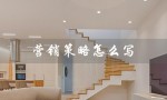 营销策略怎么写（营销策略模板怎么写）