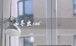 su导出cad（su导出cad为何半天无果）