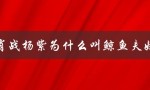 肖战杨紫为什么叫鲸鱼夫妇（肖战杨紫同款项链是什么）