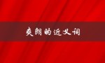 爽朗的近义词（爽朗的同义词是什么）
