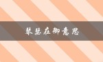 琴瑟在御意思（琴瑟在御，琴瑟友之是什么意思）