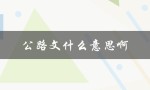 公路文什么意思啊（小说公路文是什么）