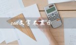 cad文字不显示（CAD为何不显示标注和文字）