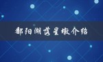 鄱阳湖落星墩介绍（鄱阳湖落星墩是什么）