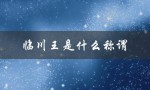 临川王是什么称谓（临川王的含义是什么）