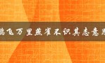 鹏飞万里燕雀不识其志意思（鹏飞万里的志向是什么）