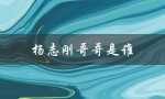 杨志刚哥哥是谁（谁是杨志刚）