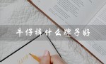 牛仔裤什么牌子好（男士牛仔裤哪个牌子好）