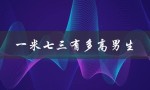 一米七三有多高男生（身高对比与分析）