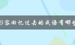 形容回忆过去的成语有哪些（回忆过去的诗句有哪些）