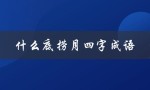 什么底捞月四字成语（底捞月春白雪）
