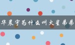 华晨宇为什么叫火星弟弟（华晨宇为何叫火星人）