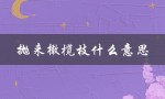 抛来橄榄枝什么意思（抛橄榄枝的含义是什么）