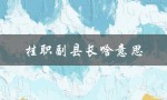 挂职副县长啥意思（挂职副县长是什么）