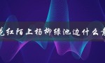 樱花红陌上杨柳绿池边什么意思（樱花红陌上,杨柳绿池是什么景色）