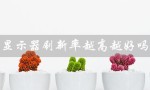 显示器刷新率越高越好吗（电脑显示器刷新率重要吗）