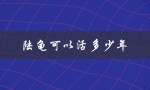 陆龟可以活多少年（陆龟寿命多长）