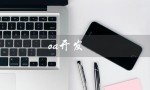 oa开发（OA开发需要哪些技术）