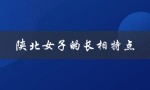 陕北女子的长相特点（江南女子长相特点是什么）