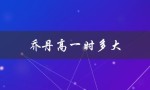 乔丹高一时多大（乔丹高一时身高）