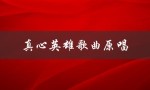真心英雄歌曲原唱（谁是真心英雄的原唱）