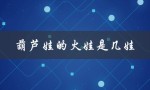 探究葫芦娃中的六个娃的顺序及特点