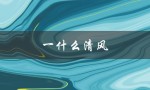 一什么清风（一清风填什么）