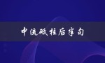 中流砥柱后半句（中流砥柱金句是什么）