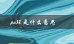 pa环是什么意思（啪环是什么意思）