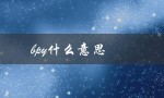 bpy什么意思（bpy是啥）