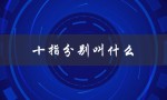 十指分别叫什么（十二月份叫什么月）