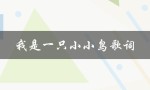 我是一只小小鸟歌词（小小鸟歌词表达的意思是什么）