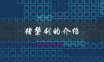 猪鬃刷的介绍（什么是猪鬃刷）